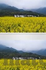 足球数据足球比分-足球数据与比分，解锁绿茵场背后的数字密码
